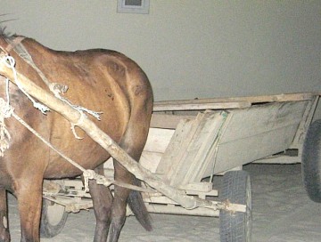 Doi bărbaţi au furat uşa de la o casă nelocuită